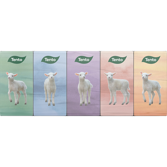 This Chic&Style 3-ply tissue pack, 10 pieces
