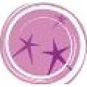 Essence Nail Art Special Effect varnish with magnetic effect 01 Its Purplici 8 ml