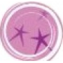 Essence Nail Art Special Effect varnish with magnetic effect 01 Its Purplici 8 ml