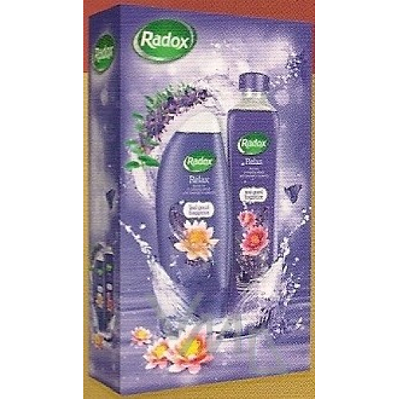Radox Relax shower gel 250 ml + bath foam 500 ml, cosmetic set