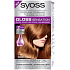 Syoss Gloss Sensation Gentle hair color without ammonia 7-76 Apricot copper 115 ml