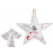 English Tea Shop Bio Hvězda Christmas cake + Sweets + Oolong, lemon and raspberry + White tea, coconut and passion fruit + Coconut Chai + Black tea with honey and melon, 6 pieces of loose tea pyramids, 12 g, hanging gift set