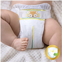 Pampers Pants 3 Midi 6-11 kg diapers 26 pieces