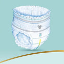 Pampers Premium Care size 6, 15+ kg diaper pants 31 pieces