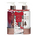 Grace Cole Christmas Candy & Vanilla hand cream 300 ml + liquid hand soap 300 ml, cosmetic set for women