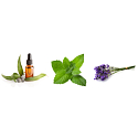 Kneipp Cold Essential Oils with Mint and Eucalyptus Shower Gel 200 ml