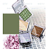 Miss Sports Fabulous Eyeshadow 114 2.5 g