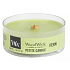 WoodWick Fern - Fern scented candle with wooden wick petite 31 g
