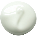Payot Pate Grise Jour daily opaque non-greasy purifying gel 50 ml