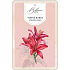 Bohemia Gifts Aromatic scented card Red flowers delicate and pure fragrance 10,5 x 16 cm