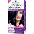 Perfect Mousse Permanent Color hair color 210 Ice black