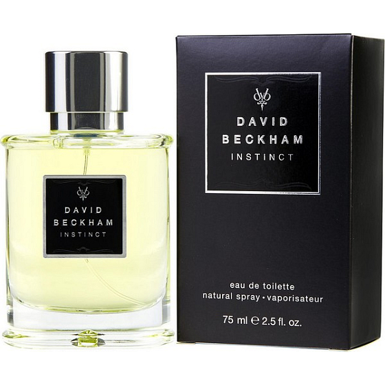 David Beckham Instinct Eau de Toilette for Men 75 ml