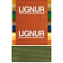 Lignur green edible water-soluble wood stain 40 g