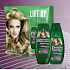 Schauma Push-Up hair shampoo for larger volume, balm 200 ml, cosmetic set