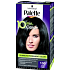 Schwarzkopf Palette 10 minutes Color hair color 100 Black
