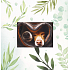 Albi Photo Album Neutral Sheets 25 Sheets 24 x 25 cm