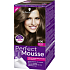 Schwarzkopf Perfect Mousse Permanent Foam Color Hair Color 600 Light Brown