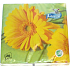 Lambi Paper napkins 3 ply 33 x 33 cm 20 pieces Easter Gerbera