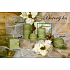 Lima Wellness Pine forest aroma candle cylinder 60 x 90 mm 1 piece