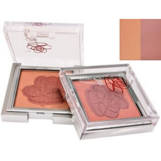 Gabriella Salvete Tiorello duo face rose 01 shade 4.5 g