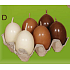 Lima Egg Scented Candle Brown 40 x 60 mm Set of 6 Pieces