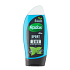 Radox Men Sporty Watermint & Sea Minerals 3in1 shower gel and shampoo for men 250 ml