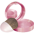 Bourjois Fard Pastel Joues Blush 54 Rose Frisson 2.5 g