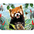 Prime3D magnet - Panda Red 9 x 7 cm