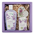 Bohemia Gifts Lavender Creamy Shower Gel 250 ml + Soap 100 g + Wooden Heart Various Designs, Cosmetic Set