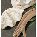 Village Candle Seashore Driftwood scented candle in glass 2 wicks 602 g