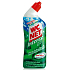 Wc Net Intense Mountain Fresh Toilet Gel Cleaner 750 ml