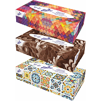 Linteo 2-ply paper tissues, box of 100 pcs