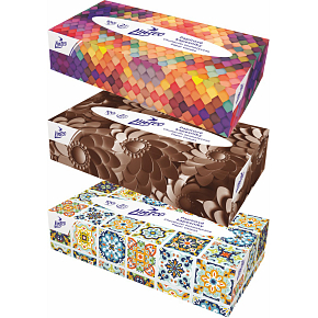 Linteo 2-ply paper tissues, box of 100 pcs