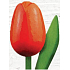 Bohemia Gifts Wooden tulip orange-red 20 cm
