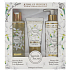 Jeanne en Provence Jasmine Secret - Secret Jasmine hand cream 75 ml + body lotion 250 ml + shower oil 250 ml, cosmetic set
