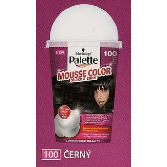 Schwarzkopf Palette Mousse Color Shake and color hair color 100 Black