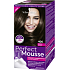 Schwarzkopf Perfect Mousse Permanent Foam Color Hair Color 400 Iced Espresso