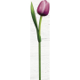 Bohemia Gifts Wooden tulip dark red 34 cm