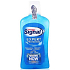 Signal White Now mouthwash 500 ml