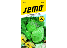 Semo Spring cabbage Heralds 0,8 g