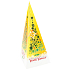 Liran Christmas package Green tea, honey and cinnamon 20 x 2 g