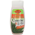 Bione Cosmetics Cannabis Shampoo for Oily Hair 260 ml