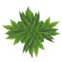 Bione Cosmetics Cannabis Herbal Balm with Horse Chestnut 300 ml