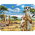 Prime3D Magnet - Meerkats 9 x 7 cm