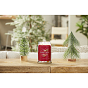 Yankee Candle Sparkling Cinnamon - Sparkling Cinnamon scented candle Signature large glass 2 wicks 567 g