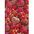 Ditipo Gift wrapping paper 70 x 200 cm Christmas red red flask