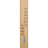Schneider Thermometer chat wooden outdoor 490 x 80 mm