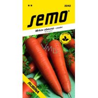 Semo Common Carrot Late Rubína 3 g