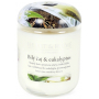 Heart & Home White tea and eucalyptus Soy scented candle medium burns up to 30 hours 110 g