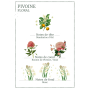 Panier des Sens Radiant peony enriching moisturizing face cream 50 ml